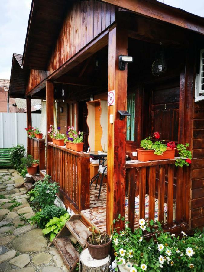 Casa Bunicilor Calimanesti Exterior foto